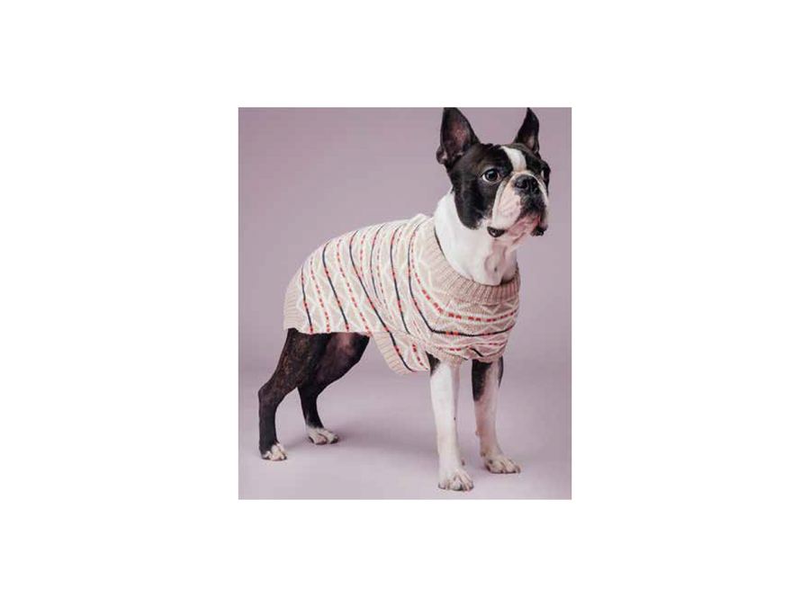 Pet 19 - Pet product sample